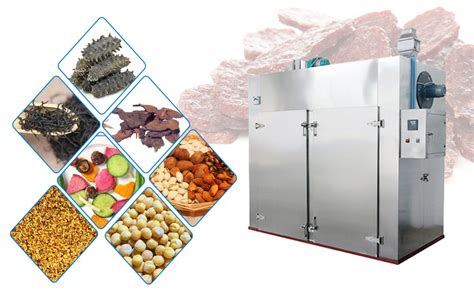vegetable drying equipment|Vegetable Dryer Machine .